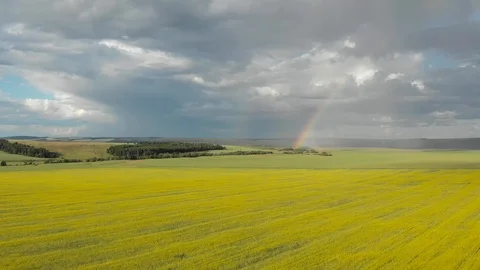Flying over the yellow fields with a view of the rainbow Stock Footage 113212886