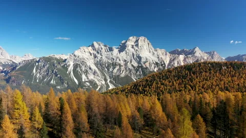 Flying over yellow larch trees in the dolomite mountains Stock Footage 220447279