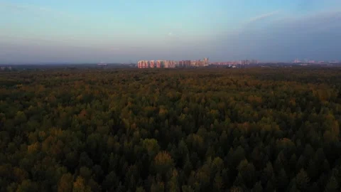 Flying over yellow trees away from city on horizon. Tall houses behind autumn Stock Footage 229722917