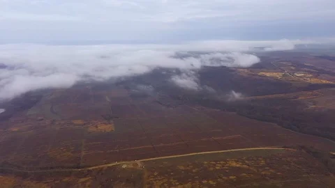 Flying over a young vineyard in winter Stock Footage 121641363