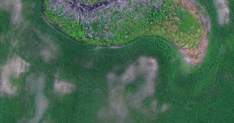 Flying Overhead Paisley Pattern Farm Country Rural Stock Footage 233854358