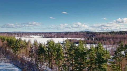 Flying overlooking the winter forest and snow-covered fields Stock Footage 109202341
