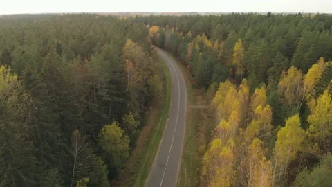 Flying overroad in the forest 스톡 동영상 148710119