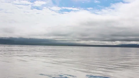 Flying ower sea Видео 98404987