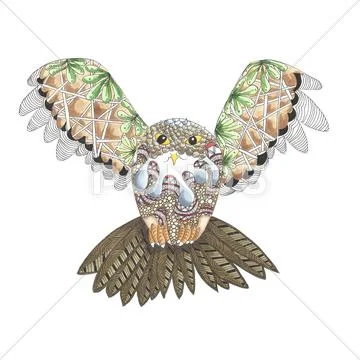 Flying owl illustration Stock Illustration