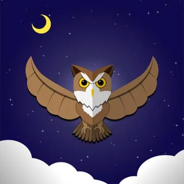 Flying Owl on night background,front view, vector Stock Illustration