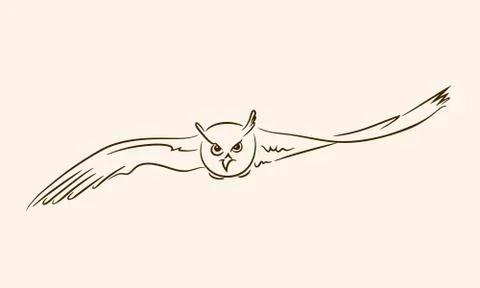 Flying owl with outstretched wings Stock Illustration
