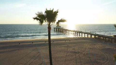Flying by palm tree and Manhattan Beach Pier CA at sunset Video stock 127610210