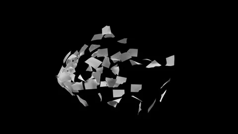 Flying-papers-2 動画素材 341294293