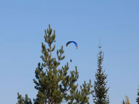 Flying Paraglider on a Background of the Sun and Beautiful Clouds.summer Day Vidéo 81114647