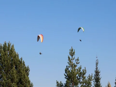 Flying Paraglider on a Background of the Sun and Beautiful Clouds.summer Day 스톡 동영상 81114668