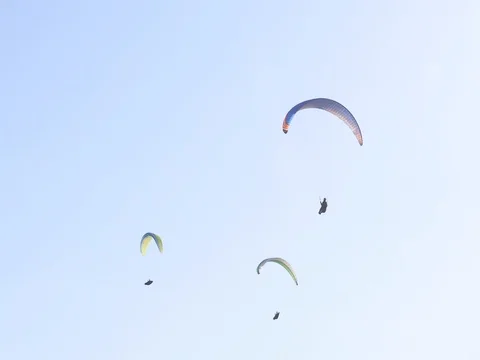 Flying Paraglider on a Background of the Sun and Beautiful Clouds.summer Day Stock Footage 81114725