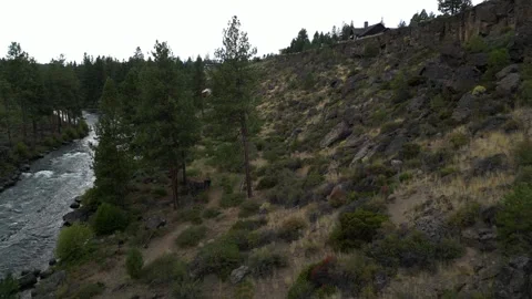 Flying Parallel to Cliff Side in Valley with River, Boulders, and Trees Stock Footage 249820465