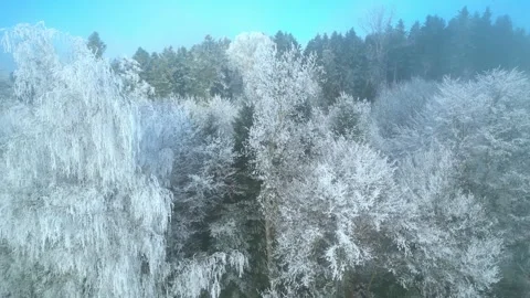 Flying parallel to frost-covered white treetops in a forest in Switzerland. Stock-Footage 297355641