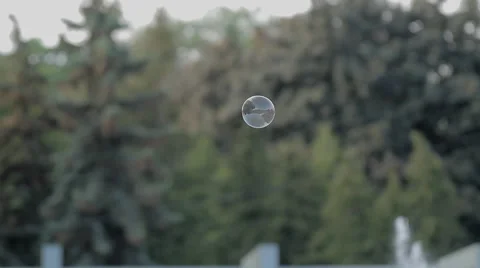 Flying in a park bubble Stock Footage 63436334