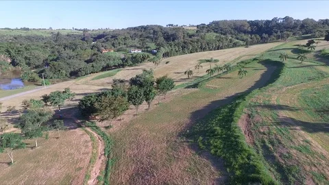 Flying in the park, drone rising Stock Footage 106851696