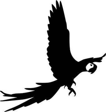 Flying Parrot Stock Illustration