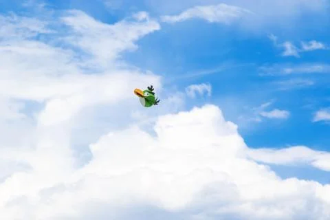 Flying parrot layout Foto stock