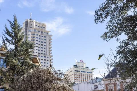Flying parrots over edificio espana and riu plaza madrid Stock Photos