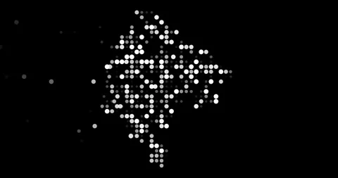 Flying Particle Effects Building the Shape of Montenegro Map Animation Stock Footage 318833255