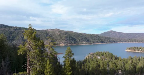 Flying past pine trees and over forest to reveal lake Stock Footage 329902540