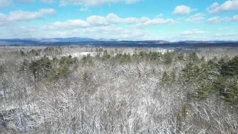 Flying past a snow covered tree in a forest during winter Stock Footage 300835933