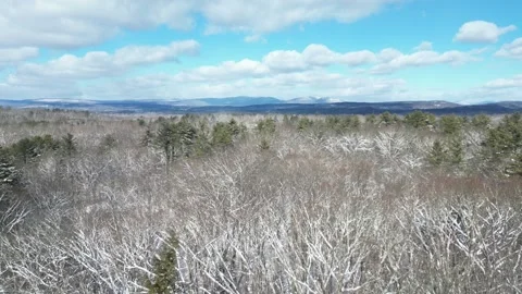 Flying past a snow covered tree in a forest during winter Stock Footage 300835946
