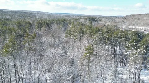 Flying past a snow covered tree in a forest during winter Stock Footage 300838301