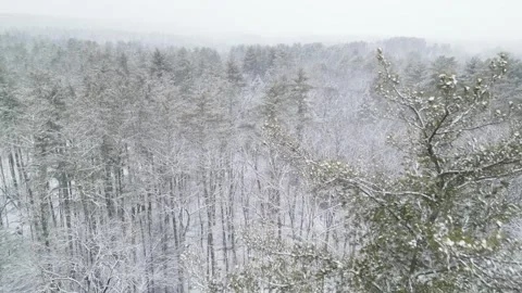 Flying past a snow covered tree in a forest during winter Stock Footage 300843109