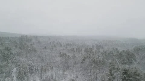 Flying past a snow covered tree in a forest during winter Stock Footage 300847296