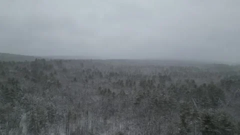 Flying past a snow covered tree in a forest during winter Stock Footage 300847316