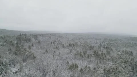 Flying past a snow covered tree in a forest during winter Stock Footage 300852388