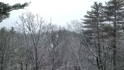 Flying past a snow covered tree in a forest during winter Stock Footage 300858101
