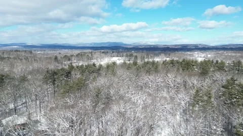 Flying past a snow covered tree in a forest during winter Stock Footage 300873545
