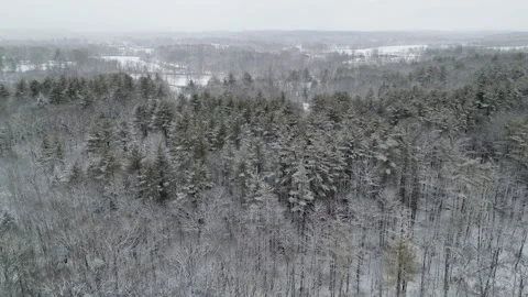 Flying past a snow covered tree in a forest during winter Stock Footage 300875608