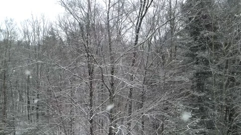 Flying past a snow covered tree in a forest during winter Stock Footage 300877524