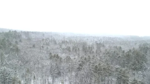Flying past a snow covered tree in a forest during winter Stock Footage 300877827