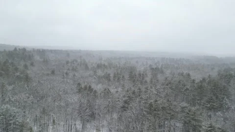 Flying past a snow covered tree in a forest during winter Stock Footage 300877855