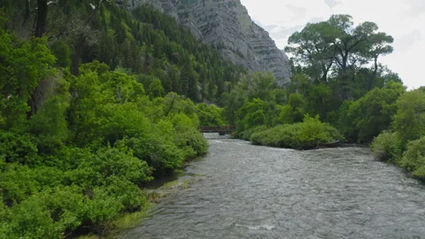 Flying past tree to glide over Provo River in Provo Canyon Utah, Spring 2023 Stock Footage 248174401