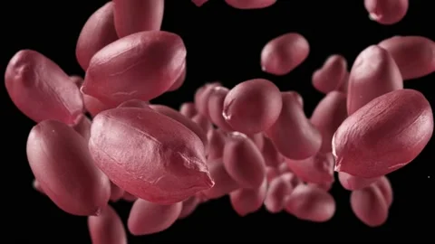 Flying of Peanuts in Black Background Vidéo 146260978