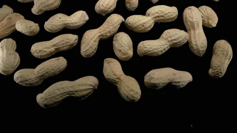 Flying peanuts on a black background. Super slow motion. Stockbeeldmateriaal 149242054