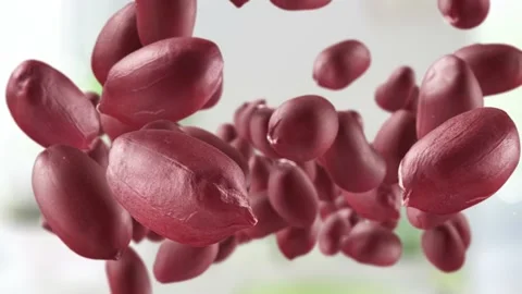 Flying of Peanuts in Kitchen Background Stock Footage 146145632