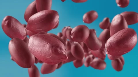 Flying of Peanuts in Sky Blue Background Stock Footage 146261742