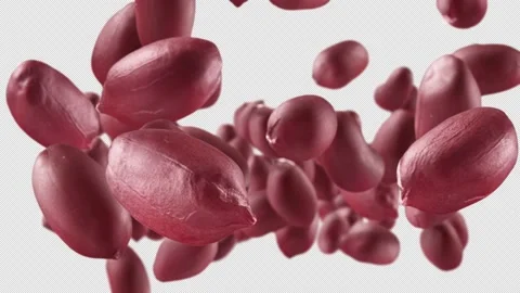 Flying of Peanuts in White Background with Alpha Channel Stock Footage 146145585