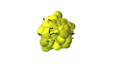 Flying pear on white background Stock Footage 58119558