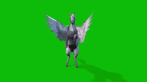 Flying Pegasus Animation on Green Screen Background Stock Footage 312552439
