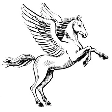 Flying Pegasus Stock Illustration
