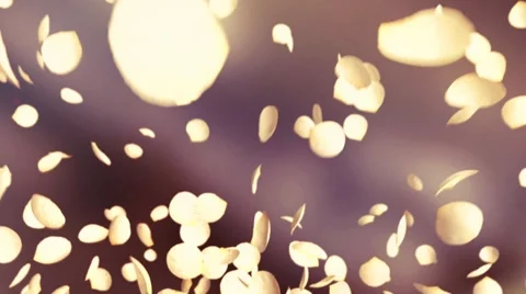 Flying Petal Flower Video stock 46153994