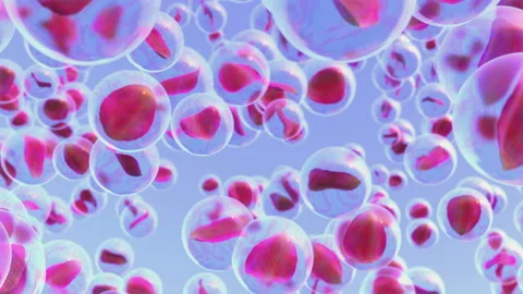 Flying petal in a soap bubble Stock Footage 102244237