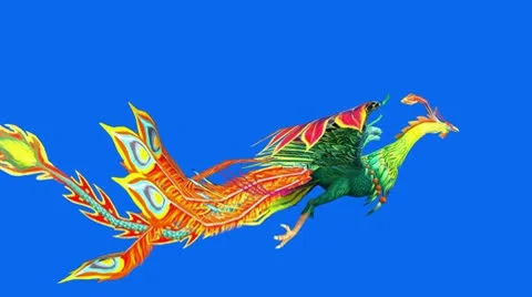 Flying Phoenix.bird,design,art,wing. Stock Footage